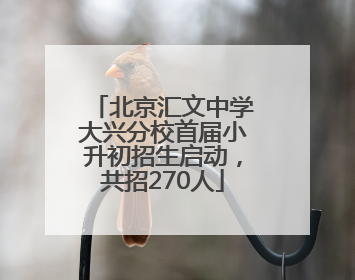 北京汇文中学大兴分校首届小升初招生启动，共招270人