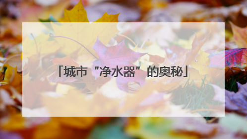 城市“净水器”的奥秘