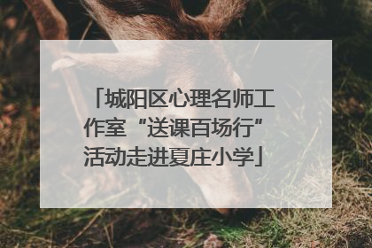 城阳区心理名师工作室“送课百场行”活动走进夏庄小学