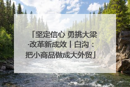 坚定信心 勇挑大梁·改革新成效丨白沟：把小商品做成大外贸