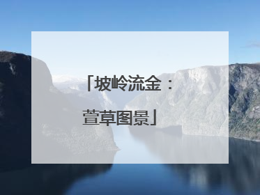 坡岭流金：萱草图景