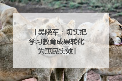 吴晓军：切实把学习教育成果转化为惠民实效