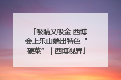 吸睛又吸金 西博会上乐山端出特色“硬菜”｜西博视界