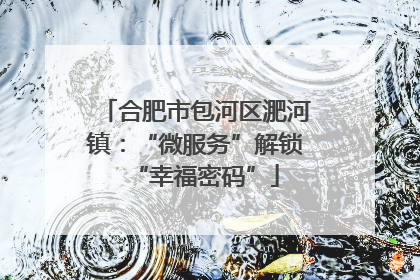 合肥市包河区淝河镇：“微服务”解锁“幸福密码”