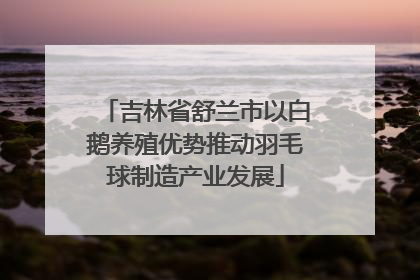 吉林省舒兰市以白鹅养殖优势推动羽毛球制造产业发展