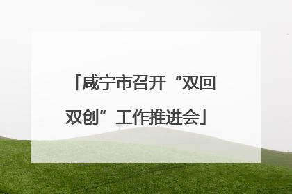 咸宁市召开“双回双创”工作推进会