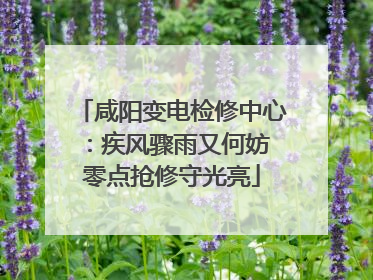 咸阳变电检修中心：疾风骤雨又何妨 零点抢修守光亮