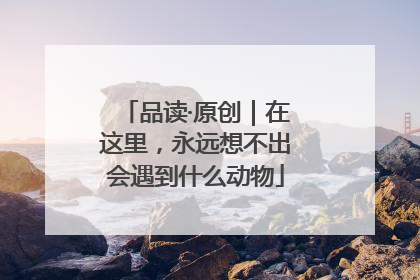 品读·原创｜在这里，永远想不出会遇到什么动物