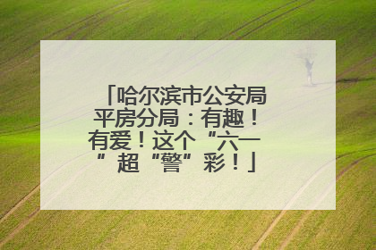 哈尔滨市公安局平房分局：有趣！有爱！这个“六一”超“警”彩！