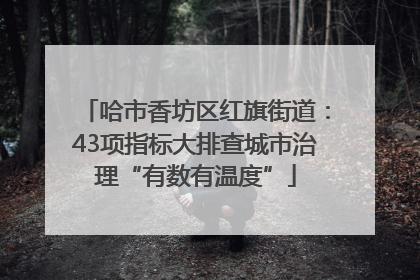 哈市香坊区红旗街道：43项指标大排查城市治理“有数有温度”