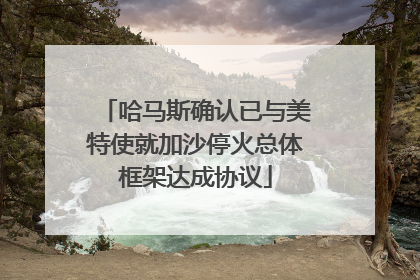 哈马斯确认已与美特使就加沙停火总体框架达成协议