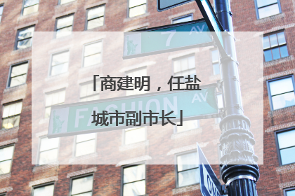 商建明，任盐城市副市长