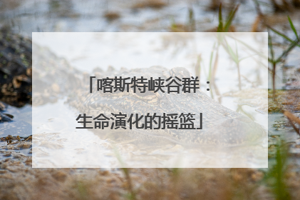 喀斯特峡谷群：生命演化的摇篮