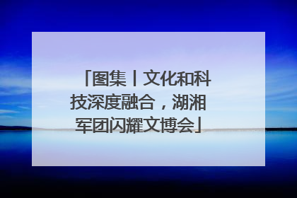 图集丨文化和科技深度融合，湖湘军团闪耀文博会