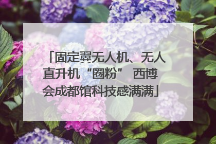 固定翼无人机、无人直升机“圈粉” 西博会成都馆科技感满满