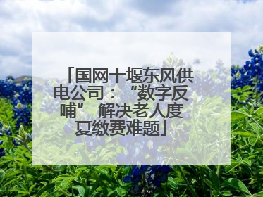 国网十堰东风供电公司：“数字反哺” 解决老人度夏缴费难题