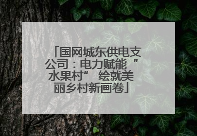 国网城东供电支公司：电力赋能“水果村” 绘就美丽乡村新画卷