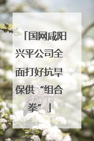 国网咸阳兴平公司全面打好抗旱保供“组合拳”
