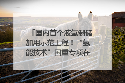 国内首个液氢制储加用示范工程！“氢能技术”国重专项在四川南充启动｜打赢经济发展翻身仗