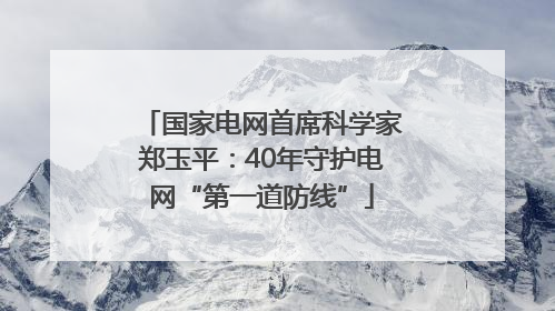 国家电网首席科学家郑玉平：40年守护电网“第一道防线”