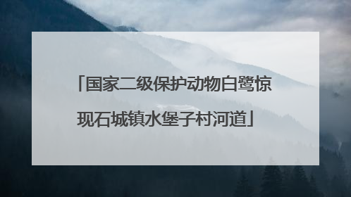国家二级保护动物白鹭惊现石城镇水堡子村河道