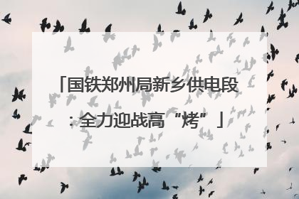 国铁郑州局新乡供电段：全力迎战高“烤”