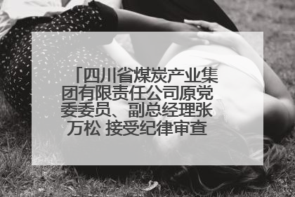 四川省煤炭产业集团有限责任公司原党委委员、副总经理张万松 接受纪律审查和监察调查