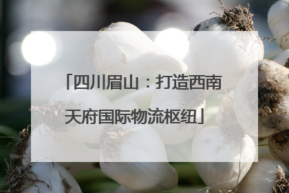 四川眉山：打造西南天府国际物流枢纽