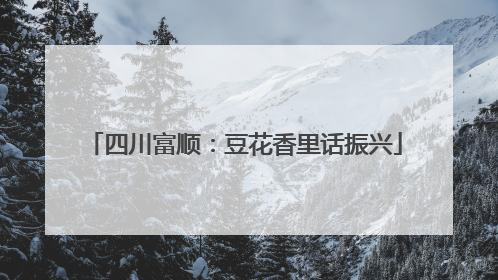 四川富顺：豆花香里话振兴