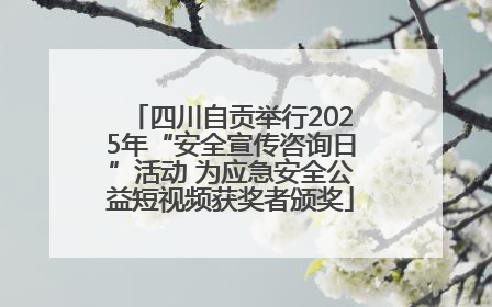 四川自贡举行2025年“安全宣传咨询日”活动 为应急安全公益短视频获奖者颁奖