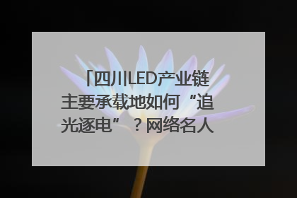 四川LED产业链主要承载地如何“追光逐电”？网络名人走进攀枝花找答案｜网络名人四川行