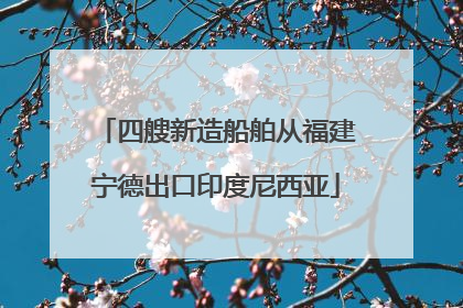 四艘新造船舶从福建宁德出口印度尼西亚