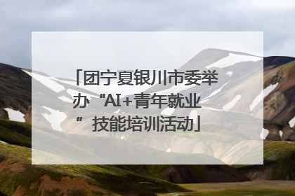 团宁夏银川市委举办“AI+青年就业”技能培训活动