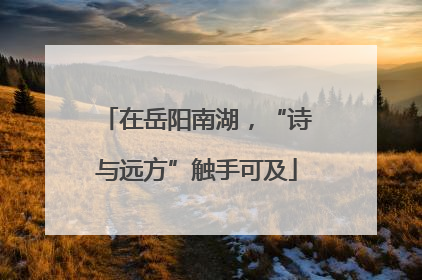 在岳阳南湖，“诗与远方”触手可及