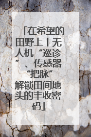 在希望的田野上丨无人机“巡诊”、传感器“把脉” 解锁田间地头的丰收密码