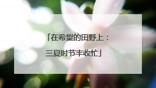 在希望的田野上：三夏时节丰收忙