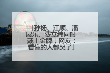 孙杨、汪顺、潘展乐、费立纬同时戴上金牌，网友：看懂的人都哭了