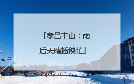 孝昌丰山：雨后天晴插秧忙