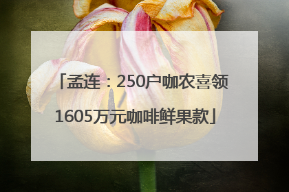 孟连：250户咖农喜领1605万元咖啡鲜果款