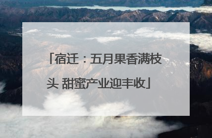 宿迁：五月果香满枝头 甜蜜产业迎丰收