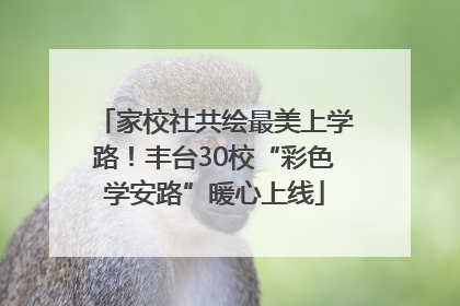家校社共绘最美上学路！丰台30校“彩色学安路”暖心上线