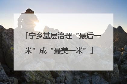 宁乡基层治理“最后一米”成“最美一米”