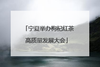 宁夏举办枸杞红茶高质量发展大会