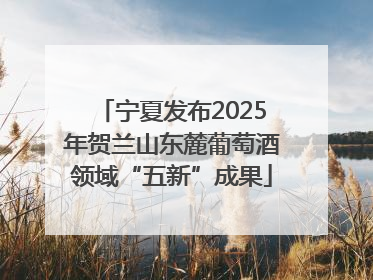 宁夏发布2025年贺兰山东麓葡萄酒领域“五新”成果
