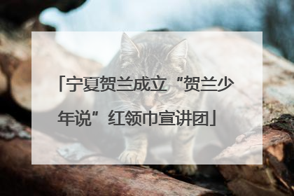 宁夏贺兰成立“贺兰少年说”红领巾宣讲团