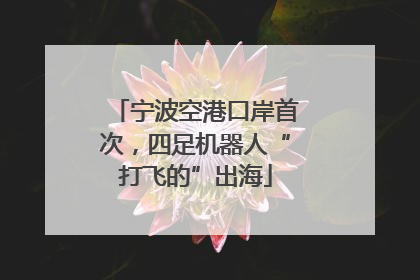 宁波空港口岸首次，四足机器人“打飞的”出海