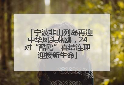 宁波韭山列岛再迎中华凤头燕鸥，24对“酷鸥”喜结连理迎接新生命