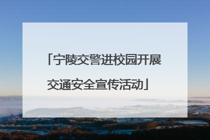 宁陵交警进校园开展交通安全宣传活动