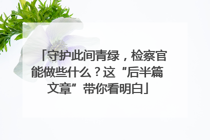守护此间青绿，检察官能做些什么？这“后半篇文章”带你看明白