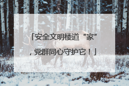 安全文明楼道“家”，党群同心守护它！